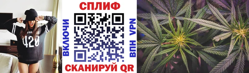 Какие есть наркотики Судогда Героин КОКАИН МЕФ Каннабис ГАШИШ АМФЕТАМИН