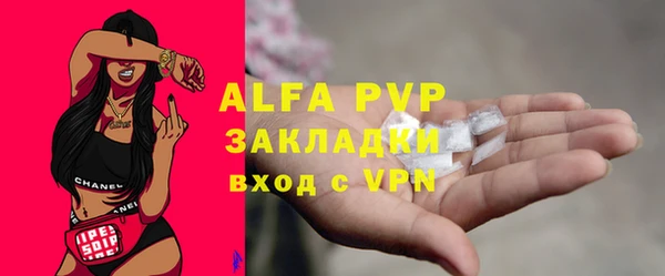 МДПВ Нея