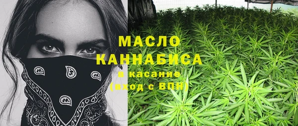 МДПВ Нея