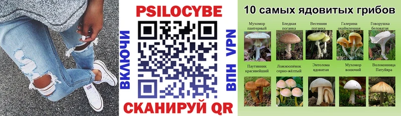 где купить наркоту  площадка Telegram  Галлюциногенные грибы прущие грибы  Судогда 