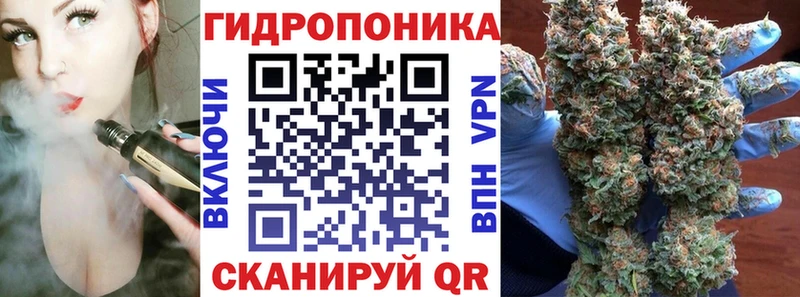 МАРИХУАНА семена Судогда